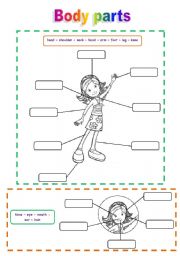 English Worksheet: Body parts