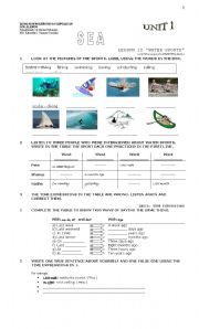 English worksheet: SPORTS