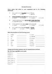 English worksheet: Grammer Excercises