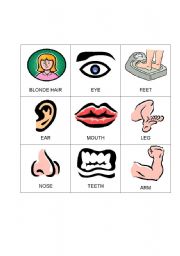 English Worksheet: Body Bingo Game
