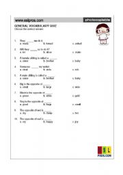 English worksheet: General Vocabulary Quiz