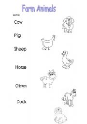 Farm Animals