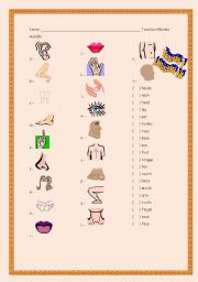 English worksheet: Body