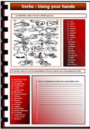 English Worksheet: Verbs :using your hands