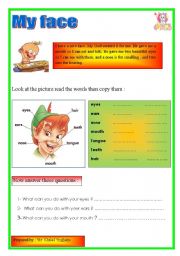 English Worksheet: body