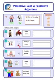 English Worksheet: Possessive Case & Possessive Adjectives