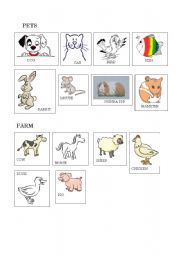 English Worksheet: pets and farm animals