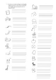 English Worksheet:  General Vocabulary