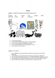 English worksheet: animals