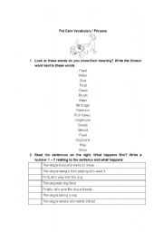 English worksheet: Pet Care worksheet