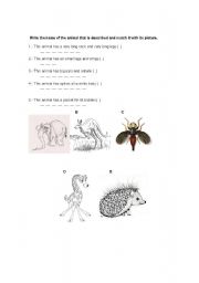 English worksheet: Animals