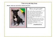 English worksheet: MY PET DOG 