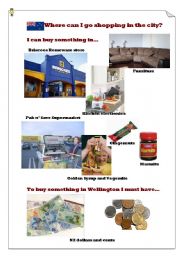 English worksheet: Where can I go shopping in Wellington?(4)