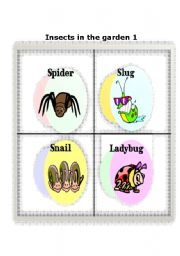 English Worksheet: Insects in the garden part 1
