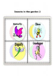 English Worksheet: Insects in the garden 2