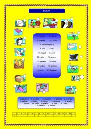 English Worksheet: Birds