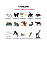 English worksheet: Vocabulary exercise - animals