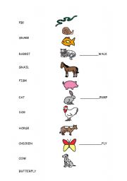 English Worksheet: Animals+action verbs worksheet