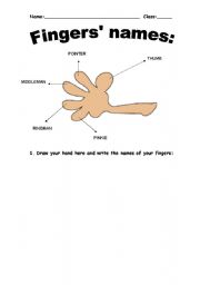 English Worksheet: Fingers names