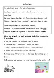 English worksheet: Adjectives (The Great Carrier Reef)