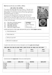 English Worksheet: The Aztecs and simple past