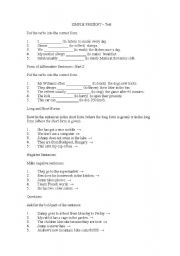 English worksheet: Simple Present Test