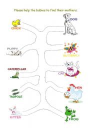 English Worksheet: Matching Exercise - Baby Animals Name