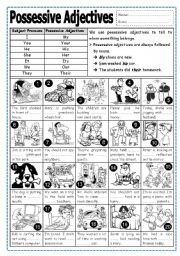 English Worksheet: Possessive Adjectives