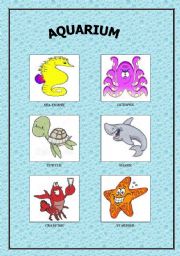 English worksheet: AQUARIUM