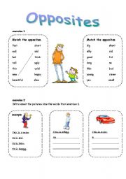 English Worksheet: opposites