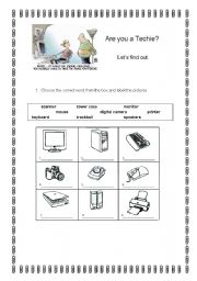 English Worksheet: Are you a Techie (1)