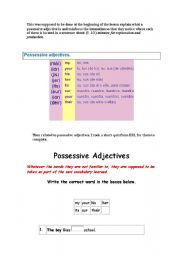 English Worksheet: Possessive adjectives