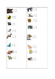 English worksheet: animals