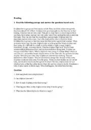 English worksheet: reading test