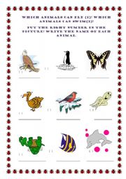 English worksheet: Which animals can fly? Which animals can swim?