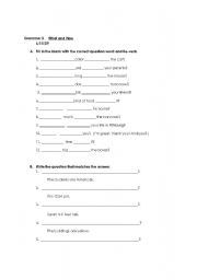English worksheet: What and How Questions Worksheet