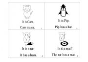 English Worksheet: Early Reader-It is Cam