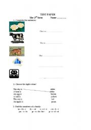 English worksheet: Test Papers