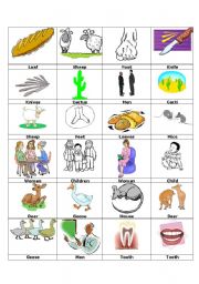 Irregular Plurals Picture Cards