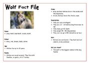 Wolf Fact File