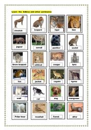 English Worksheet: felines and other carnivores pictionary