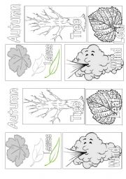 English Worksheet: Autumn