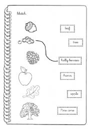 English Worksheet: What tree is it? part 2