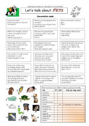 English Worksheet: Lets talk about PETS