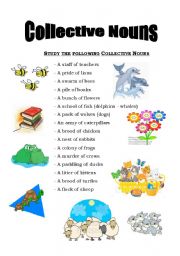 English Worksheet: Collective Nouns