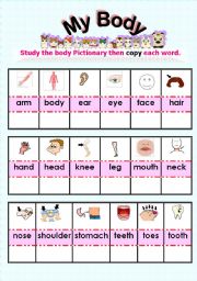 English Worksheet: MY BODY PARTS PICTIONARY & EXC.