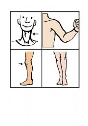 English worksheet: Flashcards body parts