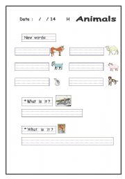 English worksheet: Animals