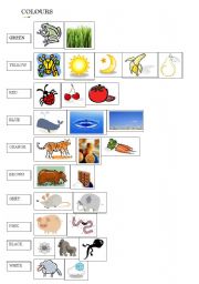 English worksheet: Colours /Colors