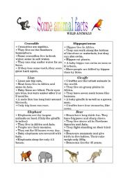 English Worksheet: Animal facts